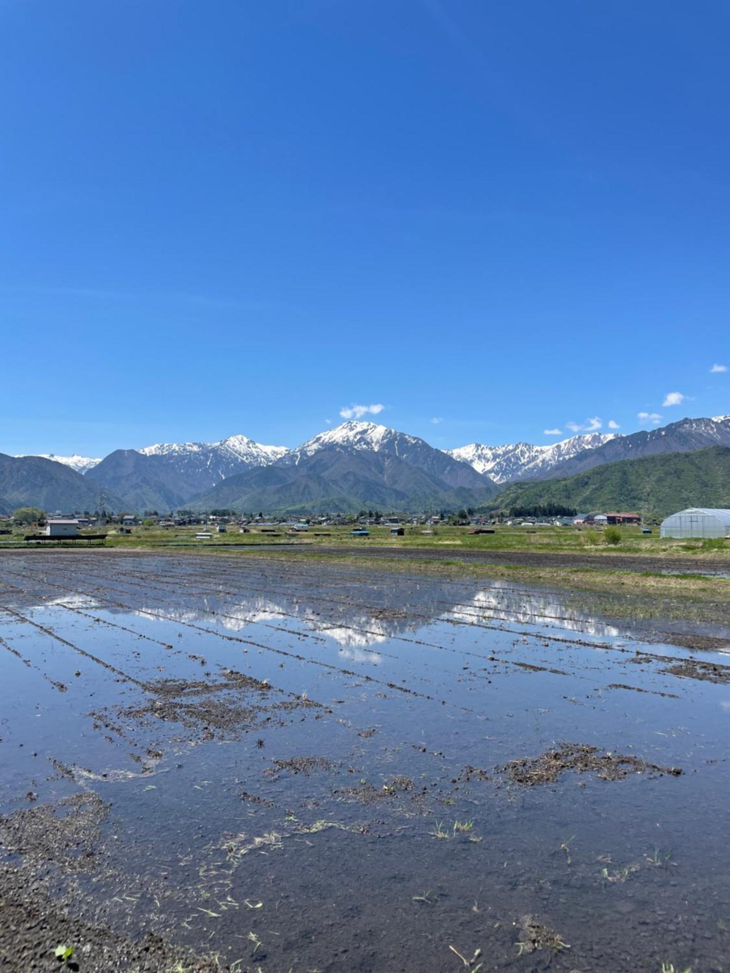 北アルプス麓のゲストハウス林屋 Omachi  Extérieur photo